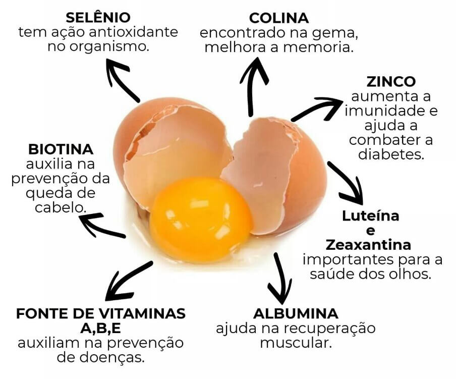 O grande mito do Ovo: Conheça os benefícios do ovo