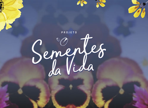 Sementes da Vida